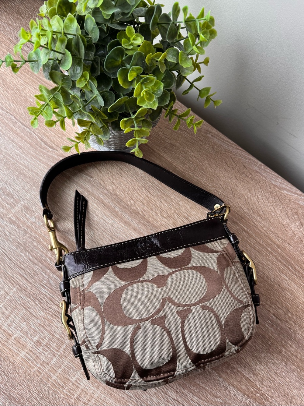 Coach Mini Zoe 41856 Khaki Mahogany Signature Small Hobo Bag